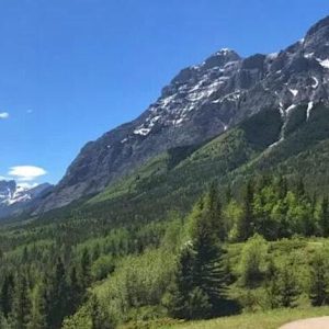 Brush & Breeze: Plein Air Painting