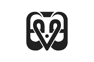 Evolved Movement Arts